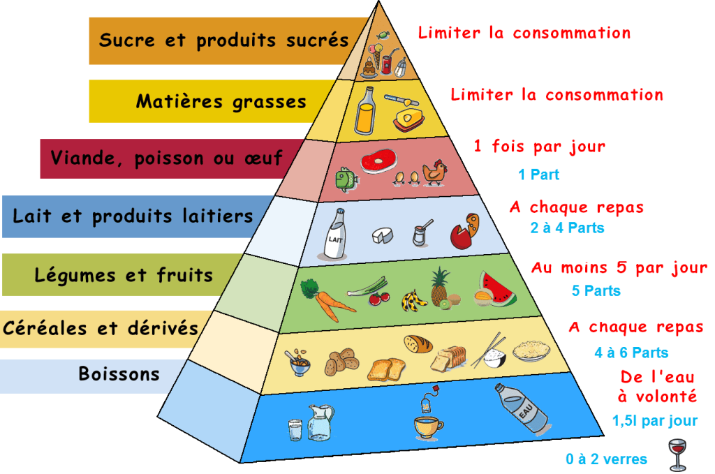 La pyramide alimentaire et le régime alimentaire du sportif