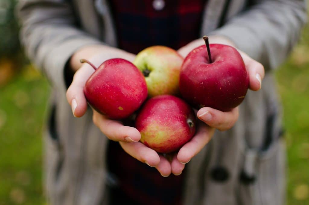 Calendrier des fruits et légumes Octobre