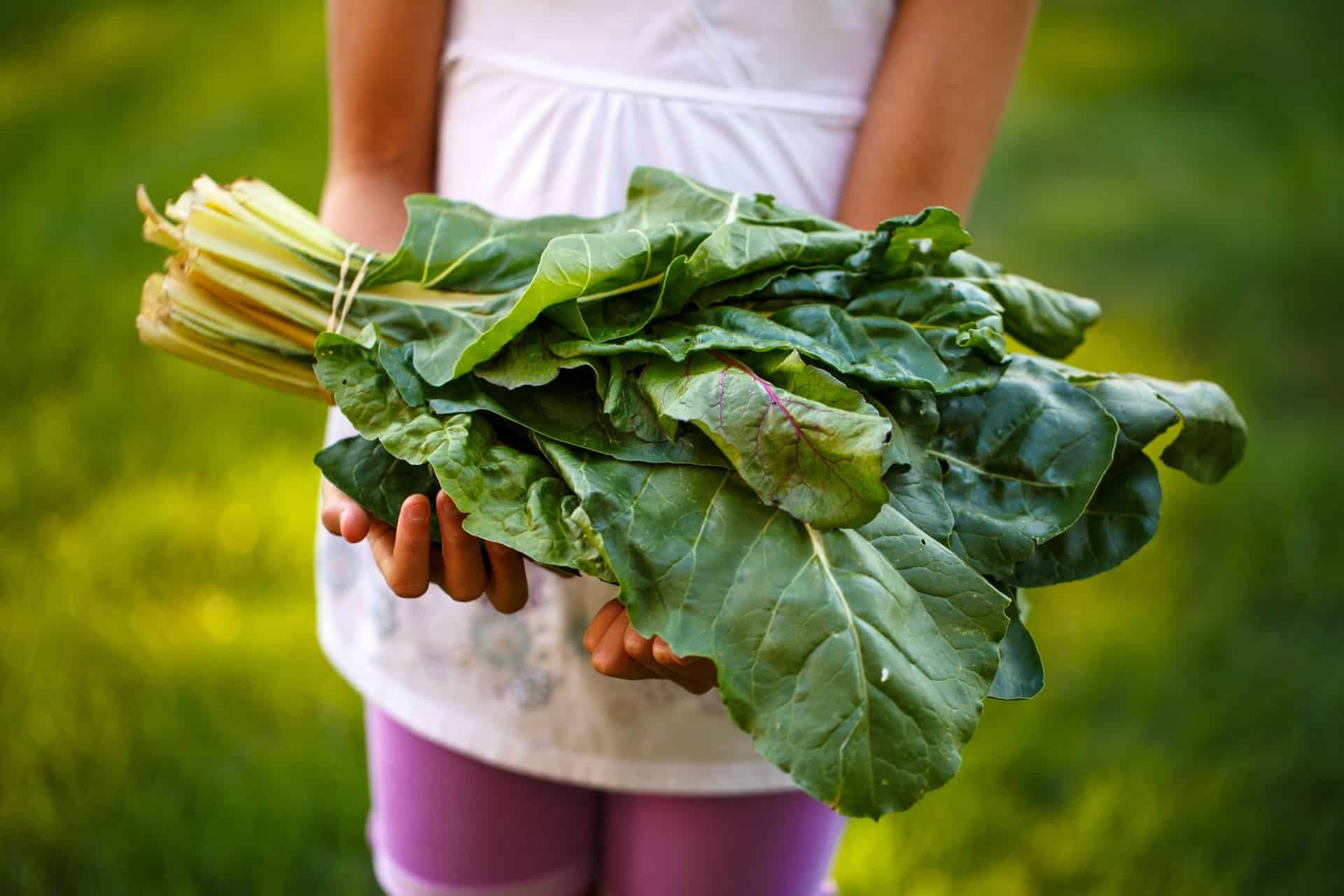 Manger des légumes facilite la perte de poids