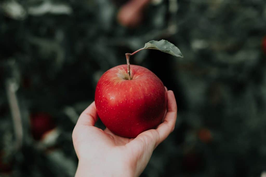 fruits et légumes du mois d'Avril